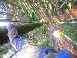 20130303002.jpg
