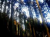 20130304002.jpg