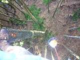 20130306002.jpg