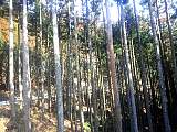 20130307001.jpg