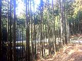 20130307002.jpg