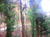 20130308002.jpg