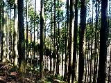 20130312001.jpg