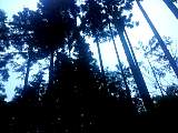 20130313001.jpg