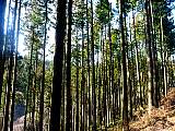 20130319001.jpg