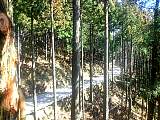 20130321001.jpg