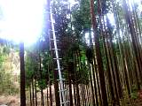 20130403001.jpg