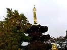 030.jpg